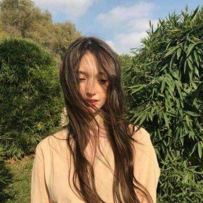 大数据修真破解版下载