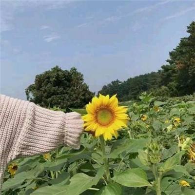 挂机奇迹h5手游下载