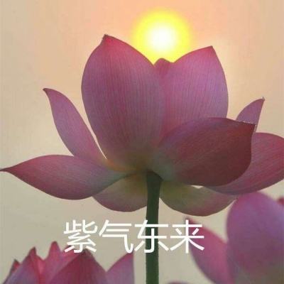 照顾小公主小游戏下载